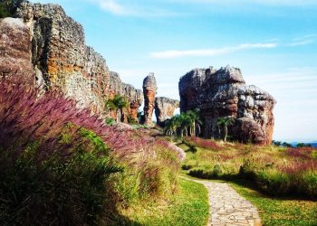 Parque de Vila Velha estará aberto todos os dias nas férias de julho  -  Foto: Divulgação Parque Vila Velha